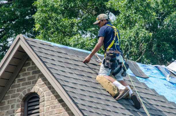 Best Roof Gutter Cleaning  in Enochville, NC